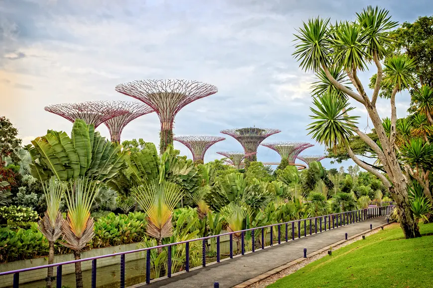 Botanical Botanical Architecture